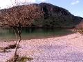 January with Tasos 510